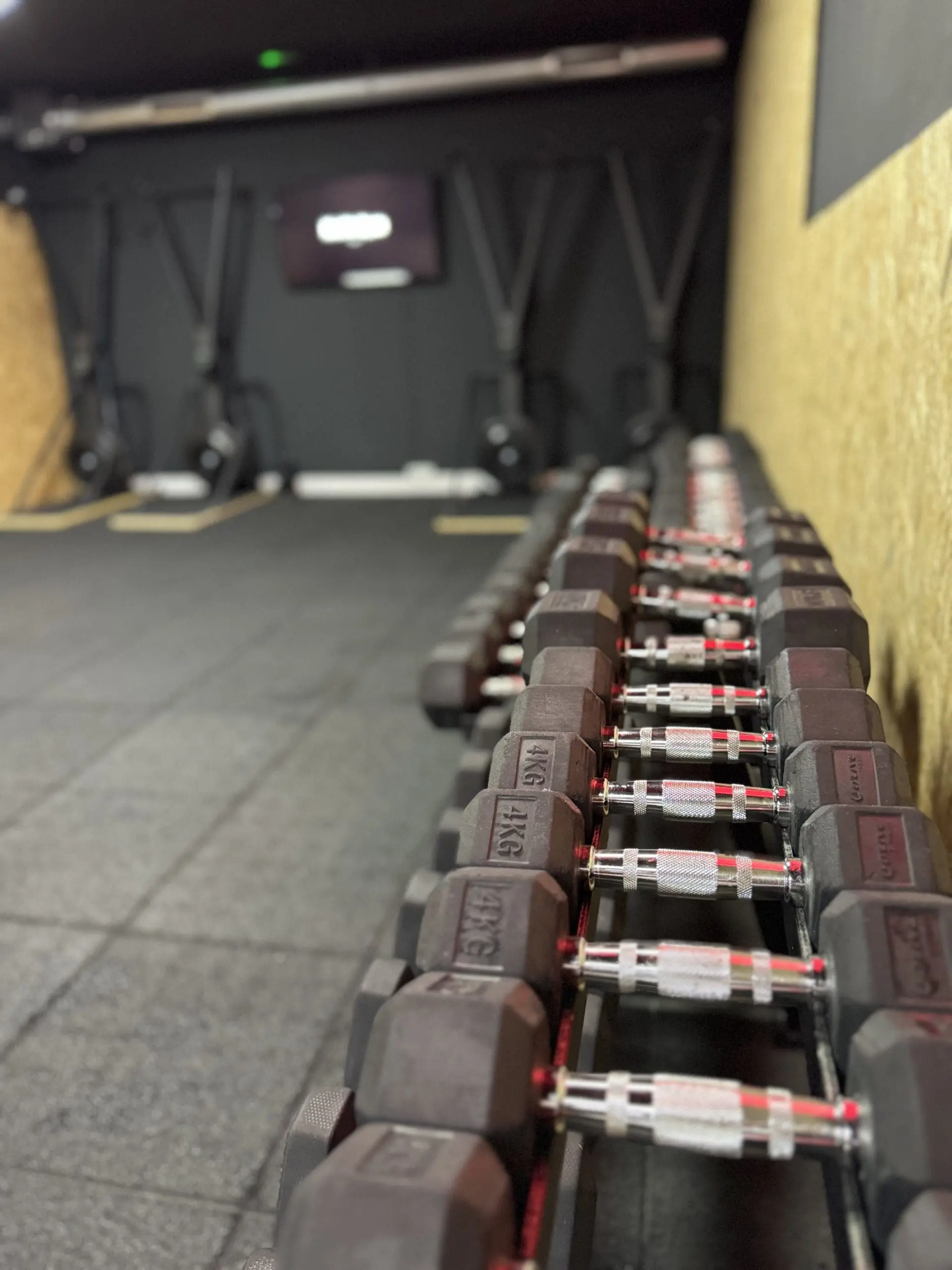Mancuernas Rivfitgym